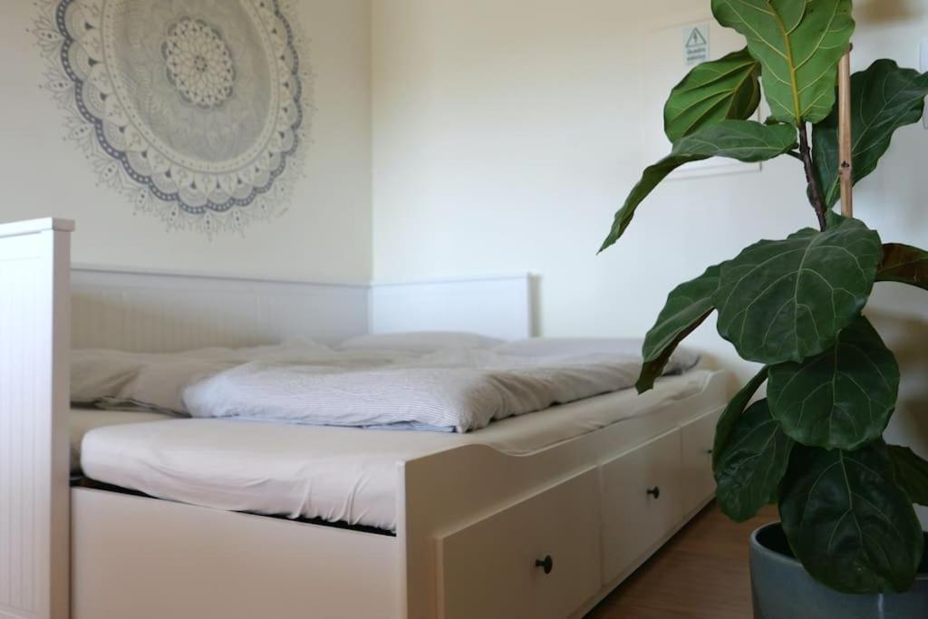Panorama Apartment Sagres *Pool* Екстериор снимка