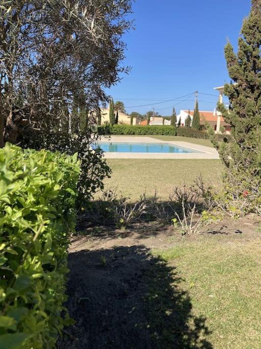 Panorama Apartment Sagres *Pool* Екстериор снимка